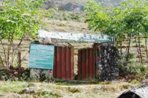 アップルプロジェクト2000